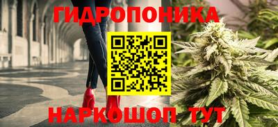 МДПВ Тула