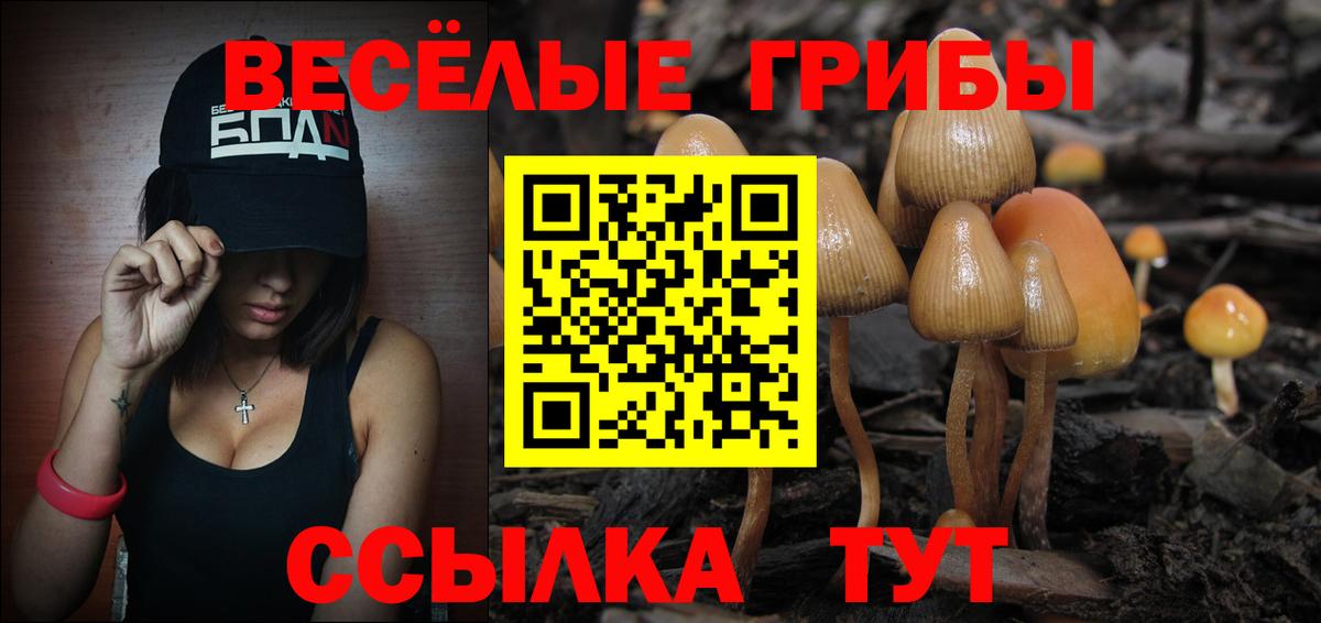 Усть-Илимск  Галлюциногенные грибы MAGIC MUSHROOMS  Галлюциногенные грибы GOLDEN TEACHER  Вход с VPN 